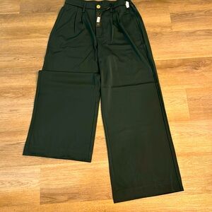 Dictionary Satin Dark Olive pants